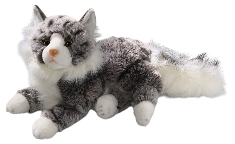 Cats