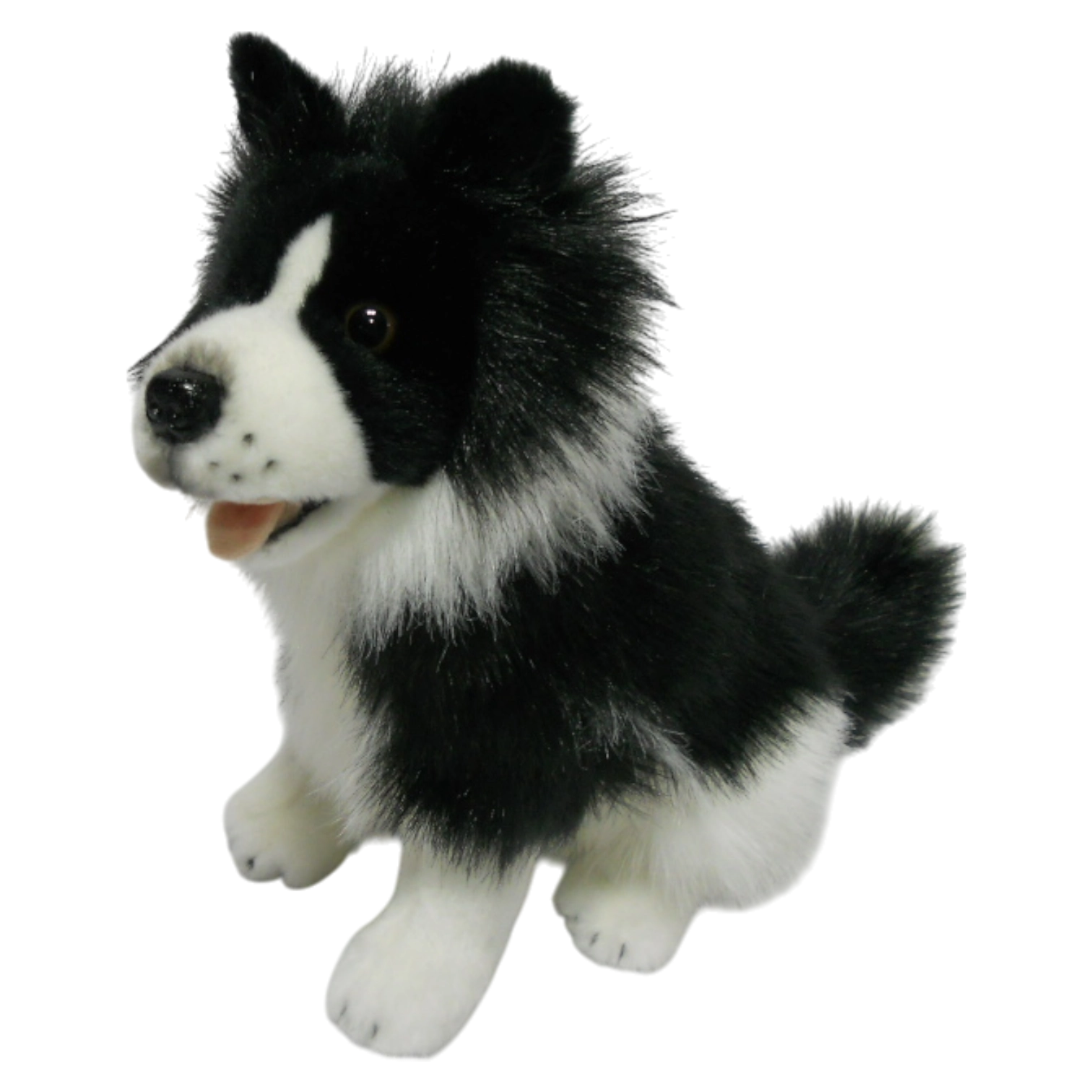 Klett-Border-Collie