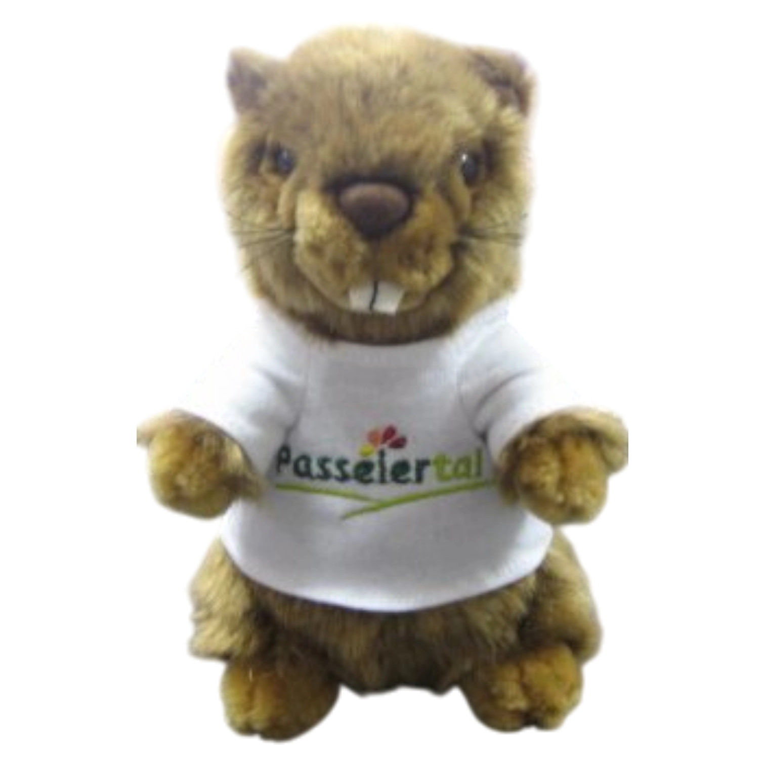Passeier-Murmeltier
