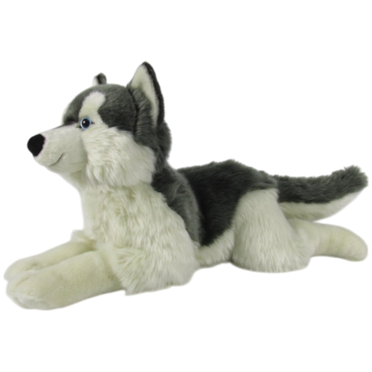 Romina-Husky
