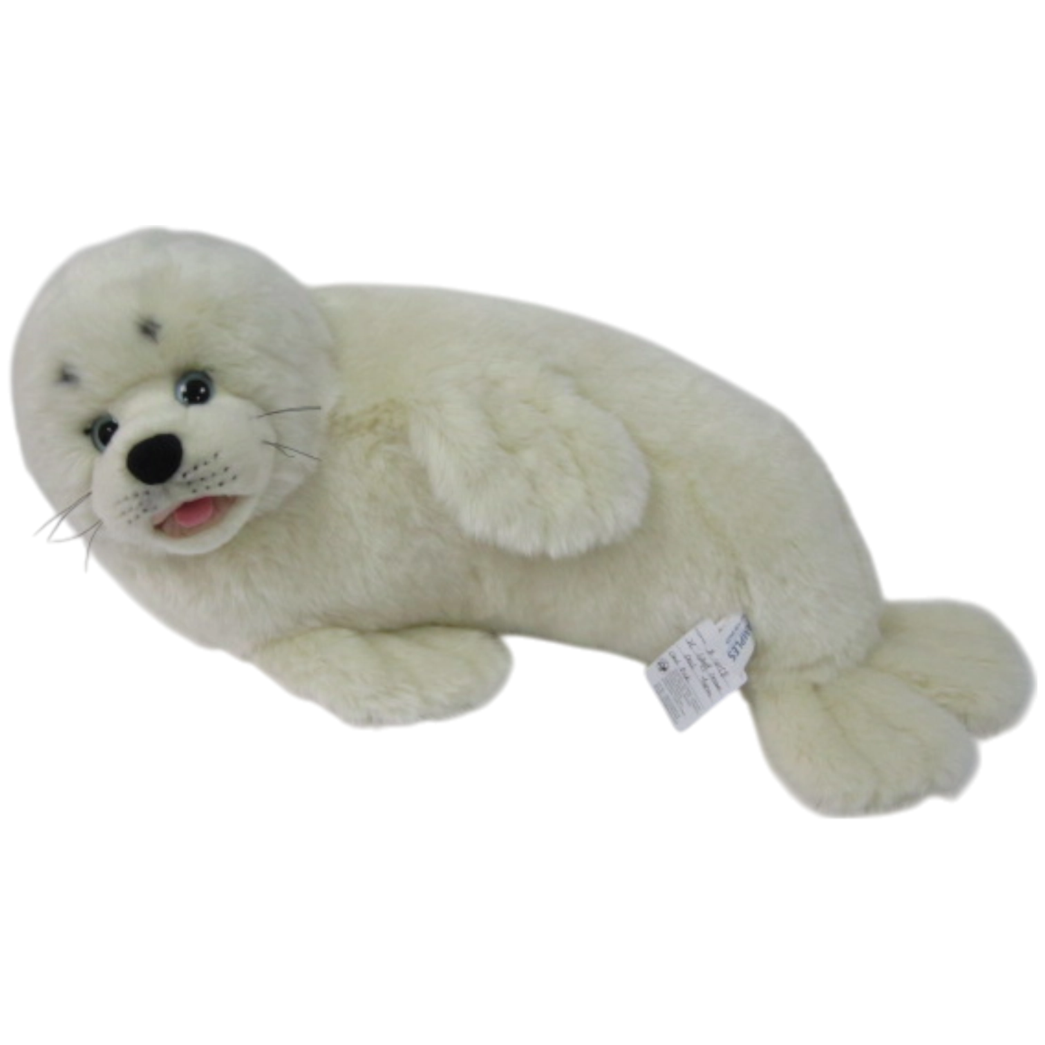 Romina-Seehund