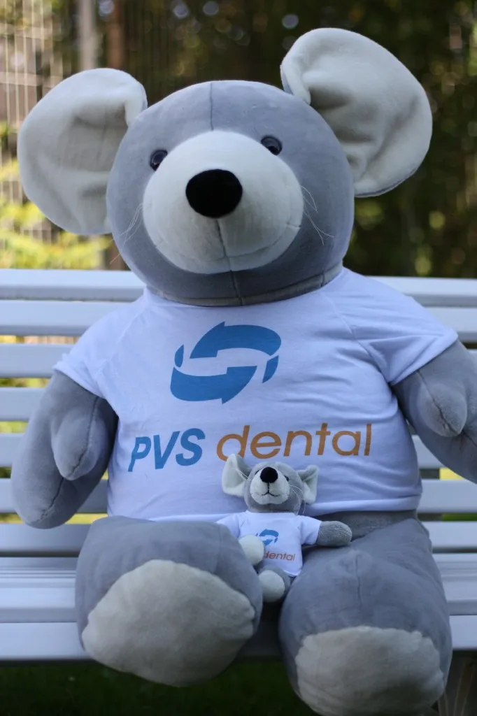 PVS Dental GmbH