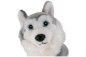 Preview: Carl Dick Plüschtier Husky