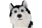 Preview: Carl Dick Plüschtier Husky