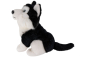 Preview: Carl Dick Plüschtier Husky