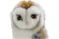 Preview: Carl Dick Plush Toy Barn-Owl