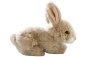 Preview: Carl Dick Plüschtier Hase sitzend Preview: Carl Dick Plüschtier Hase sitzend