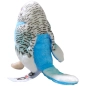 Preview: Budgerigar assorted Preview: Budgerigar assorted