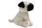 Preview: Mops Welpe