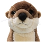 Preview: Otter Preview: Otter