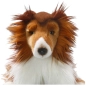 Preview: Collie Preview: Collie