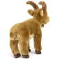 Preview: Carl Dick Plush Toy Ibex