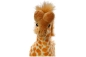 Preview: Safari and Wild animals Minis