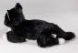 Preview: Carl Dick Plush Toy Cat black-white lying