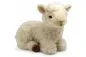 Preview: Carl Dick Plush Toy Sheep, Lamb