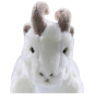 Preview: Carl Dick Plush Toy Goat white