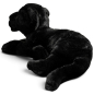 Preview: Carl Dick Plush Toy Panther lying