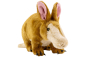 Preview: Carl Dick Plush Toy Aardvark