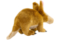 Preview: Carl Dick Plush Toy Aardvark