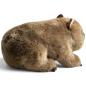 Preview: Carl Dick Plush Toy Wombat