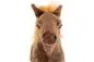 Preview: Carl Dick Plush Toy Horse