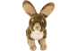 Preview: Carl Dick Plush Toy Hare
