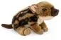 Preview: Carl Dick Plush Toy Wild Boar