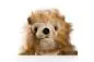 Preview: Carl Dick Plush Toy Hedgehog Hand Puppet