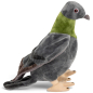 Preview: Carl Dick Plush Toy Pigeon, City Dove