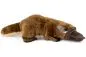 Preview: Carl Dick Plush Toy Platypus