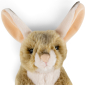 Preview: Carl Dick Plush Toy Desert Jerboa - Spring Mouse