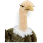 Preview: Carl Dick Plush Toy Ostrich