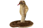 Preview: Carl Dick Plush Toy Snake