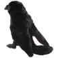 Preview: Carl Dick Plush Toy Raven Crow