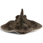 Preview: Carl Dick Plush Toy Stingray