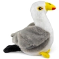 Preview: Carl Dick Plush Toy Seagull