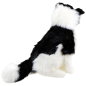 Preview: Border Collie sitzend