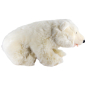 Preview: Polar Bear
