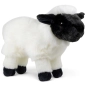 Preview: Carl Dick Plush Toy Sheep, Lamb black-white standing