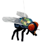 Preview: Fliege