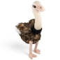 Preview: Carl Dick Plush Toy Ostrich
