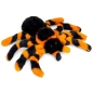 Preview: Carl Dick Plush Toy Tarantula Spider orange-black