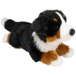 Preview: Bernese Mountain Dog lying