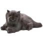 Preview: Carl Dick Plush Toy Cat, Persian-Cat lying grey