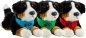 Preview: Bernese Mountain Dog with scarf Preview: Bernese Mountain Dog with scarf
