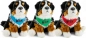 Preview: Bernese Mountain Dog with scarf Preview: Bernese Mountain Dog with scarf