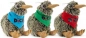 Preview: Kiwi with scarf Preview: Kiwi with scarf