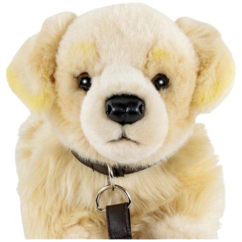 Preview: Golden Retriever mit Leine