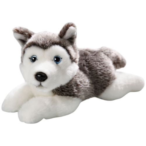 Preview: Husky Puppy lying