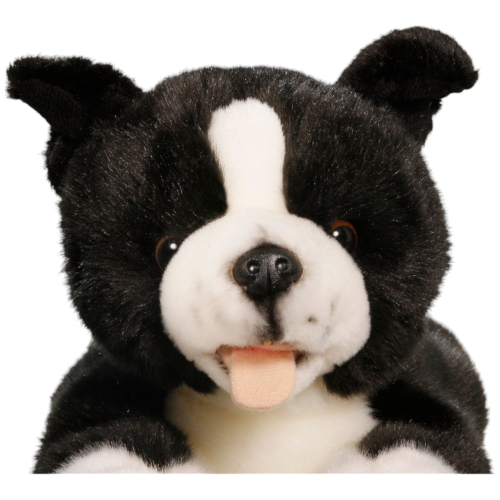 Preview: Border Collie Floppy